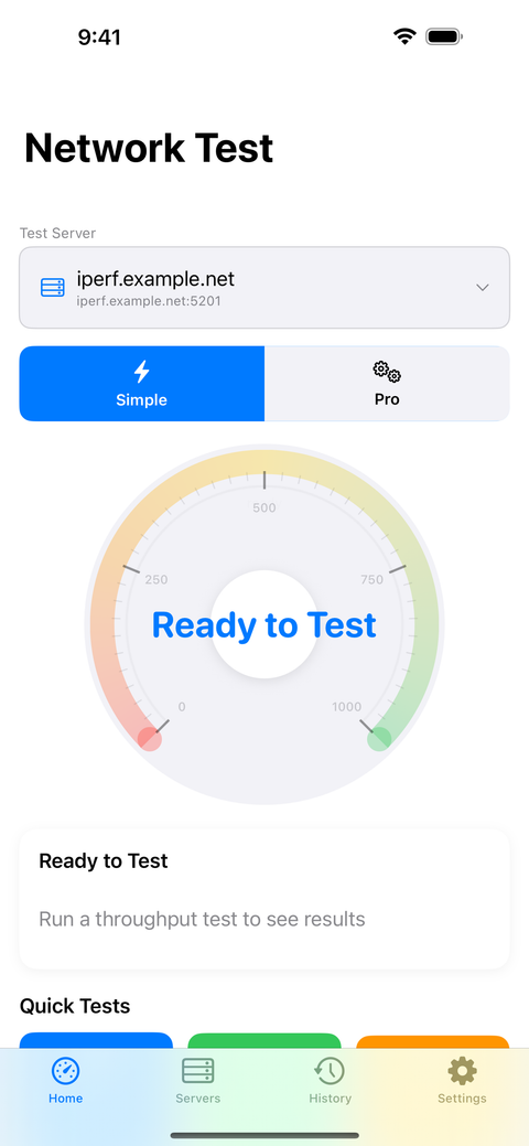 iPerf3 Network Test screen on iPhone with the throughput speedometer and Simple/Pro test modes